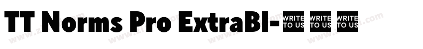 TT Norms Pro ExtraBl字体转换 TT Norms Pro ExtraBl字体转换